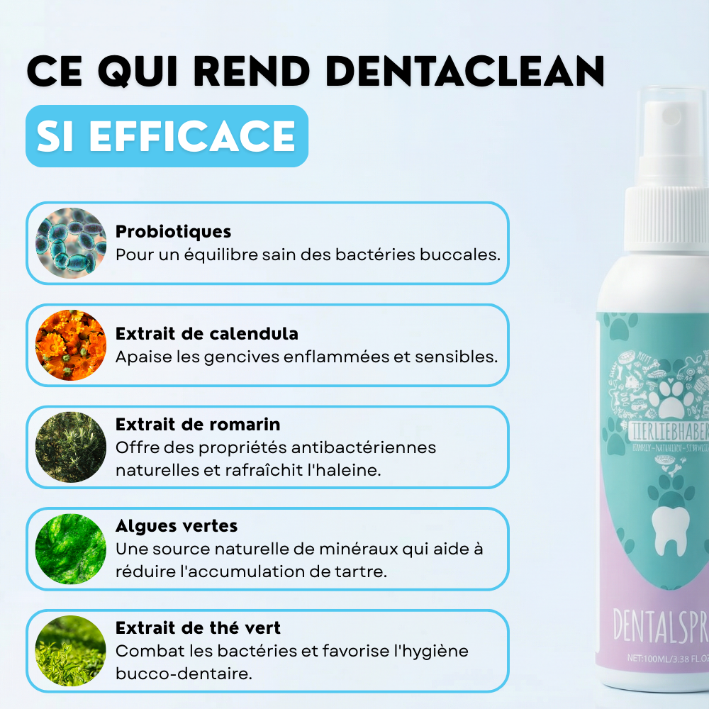 Haleine Fraiche & Dents Propres
