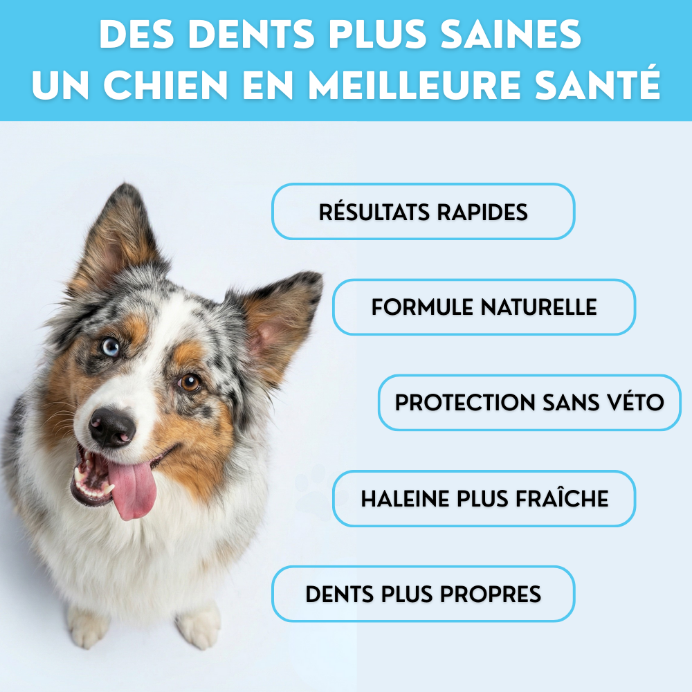 Haleine Fraiche & Dents Propres