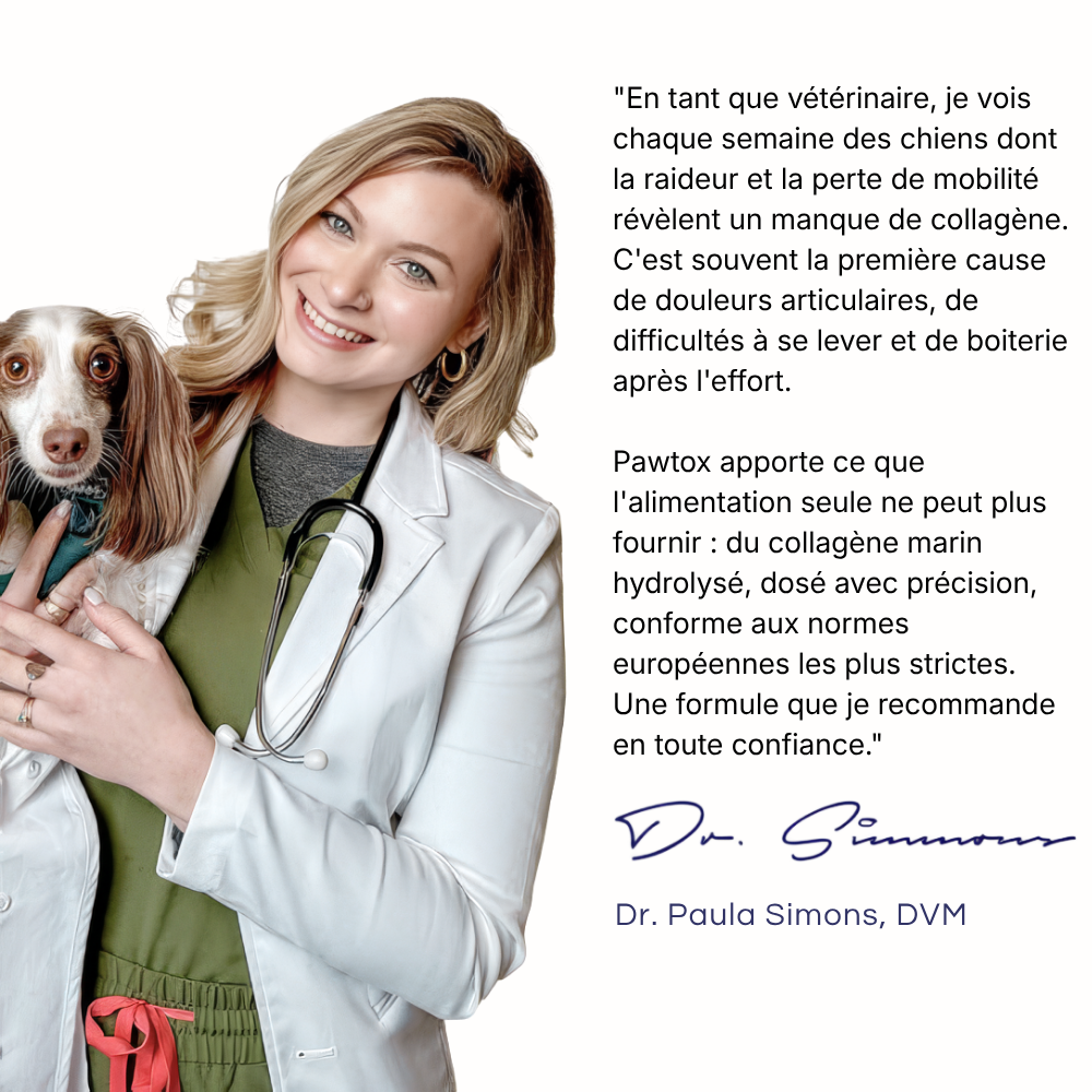 Pawtox — Collagène Marin pour Chien