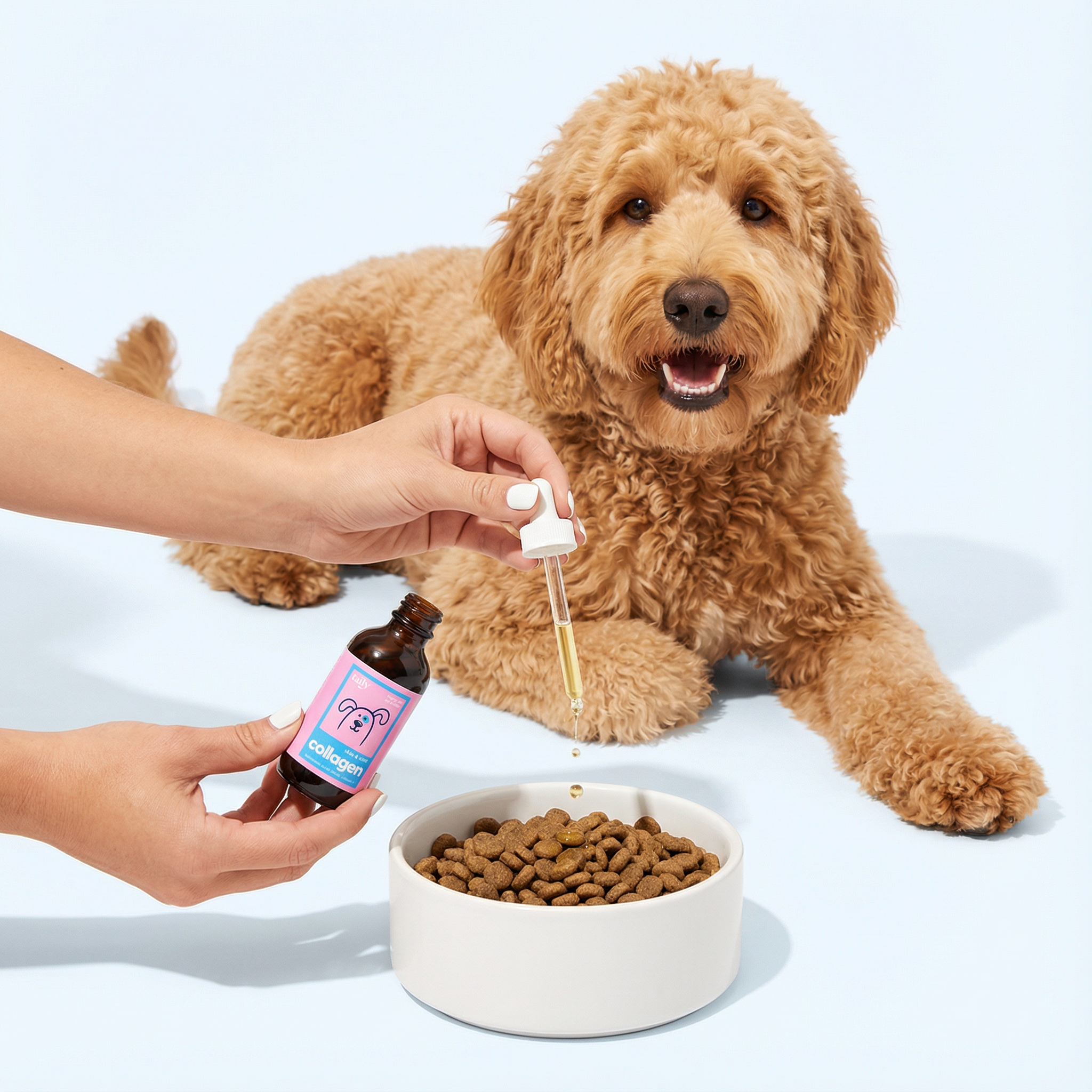 Pawtox Collagen pour Chien