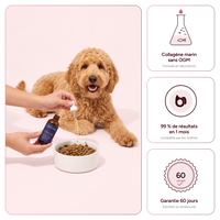 Pawtox - Collagène Marin pour Chien