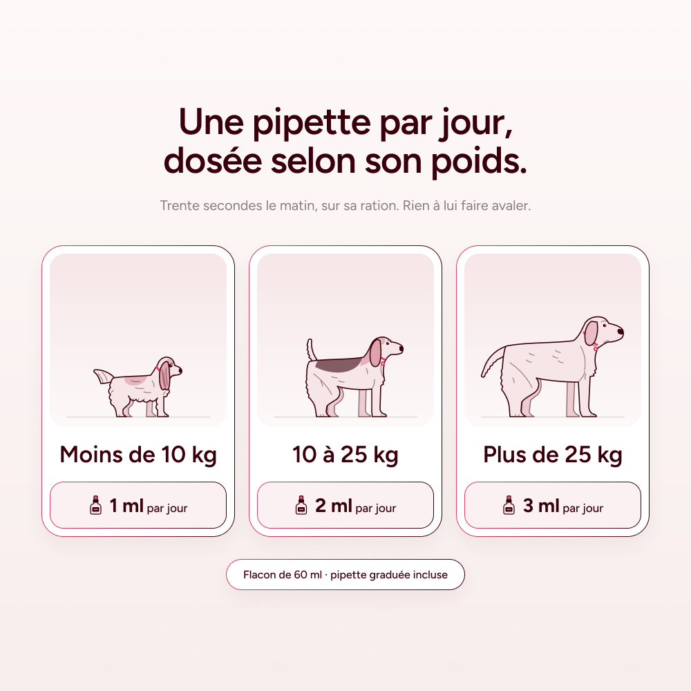 Pawtox - Collagène Marin pour Chien