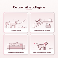 Pawtox - Collagène Marin pour Chien