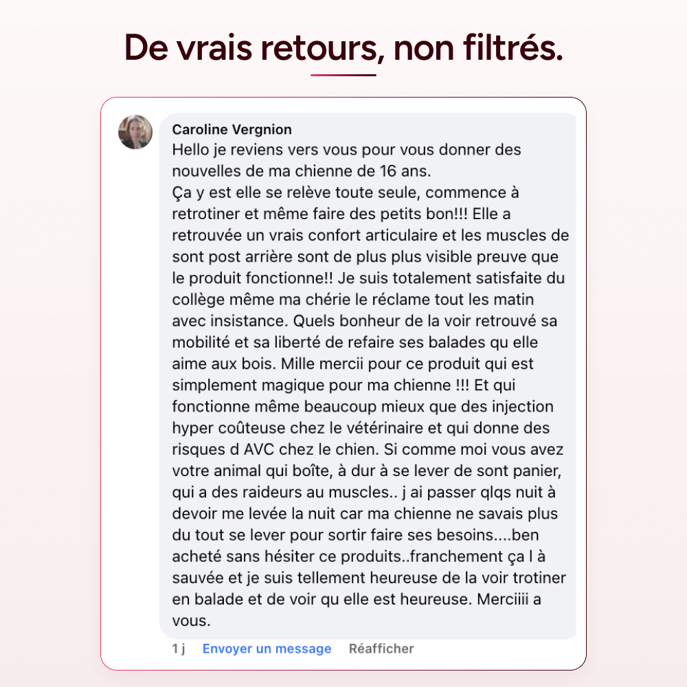 Pawtox - Collagène Marin pour Chien