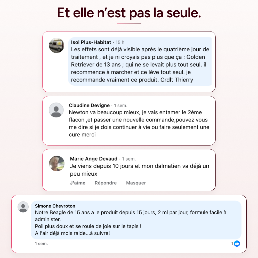 Pawtox - Collagène Marin pour Chien