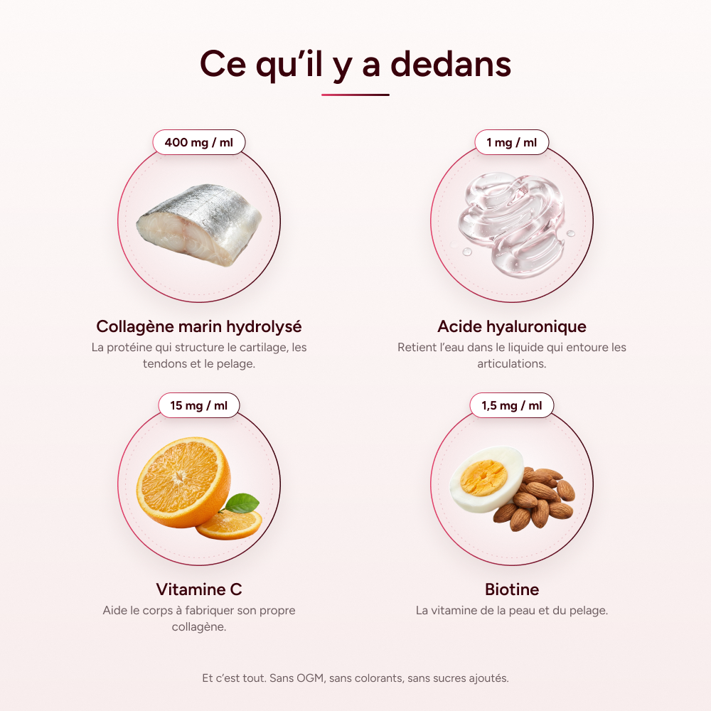 Pawtox - Collagène Marin pour Chien