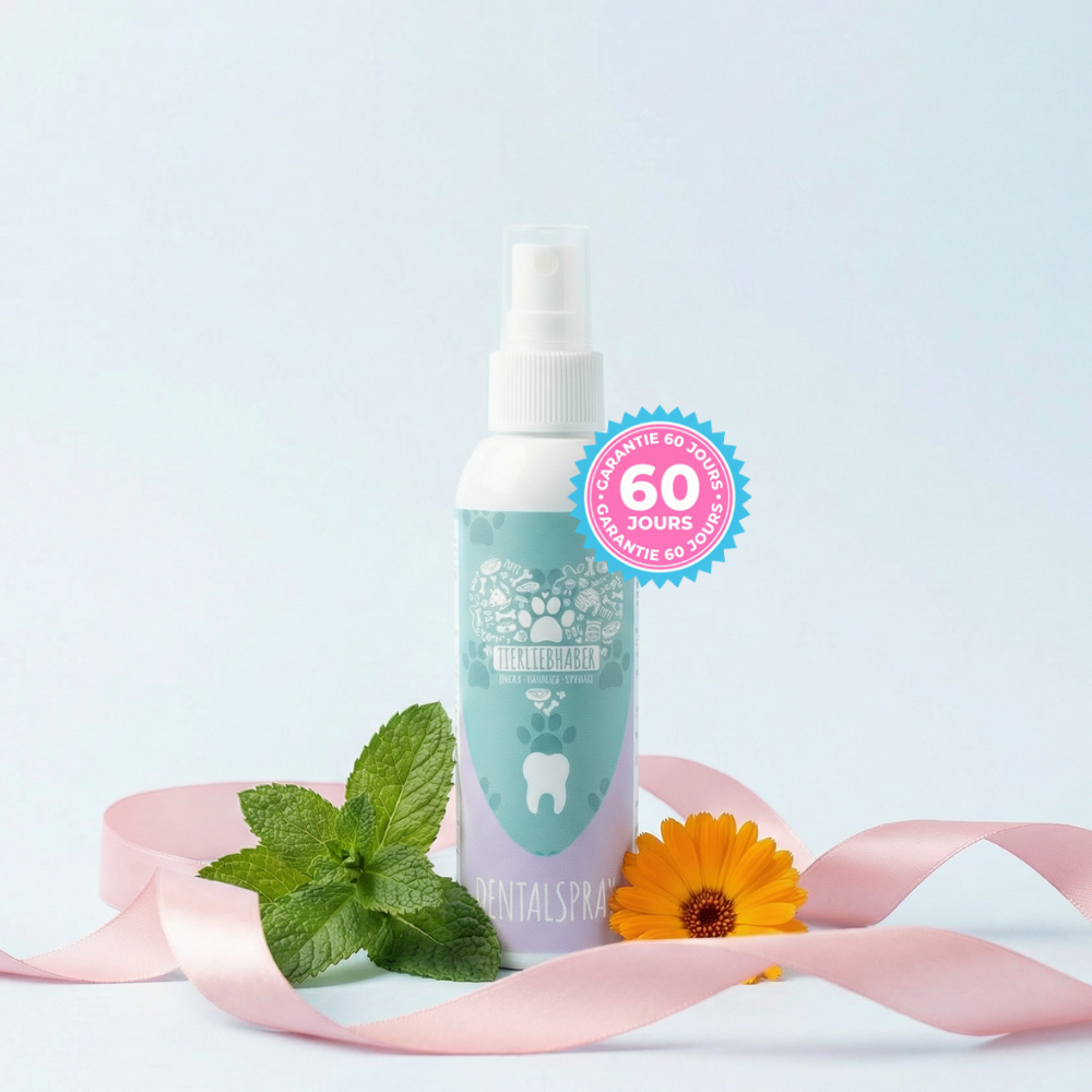 Haleine Fraiche & Dents Propres