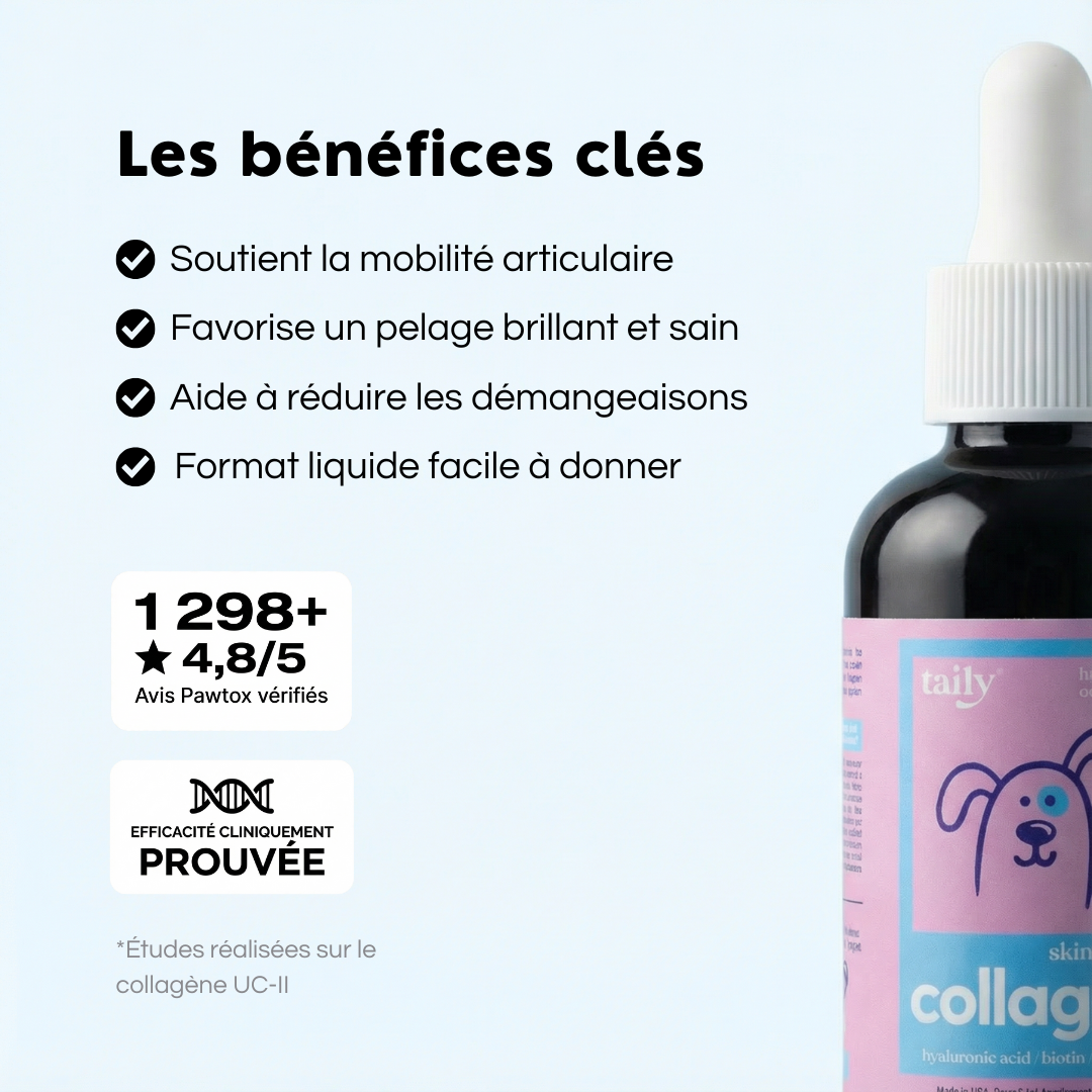 Pawtox Collagen pour Chien
