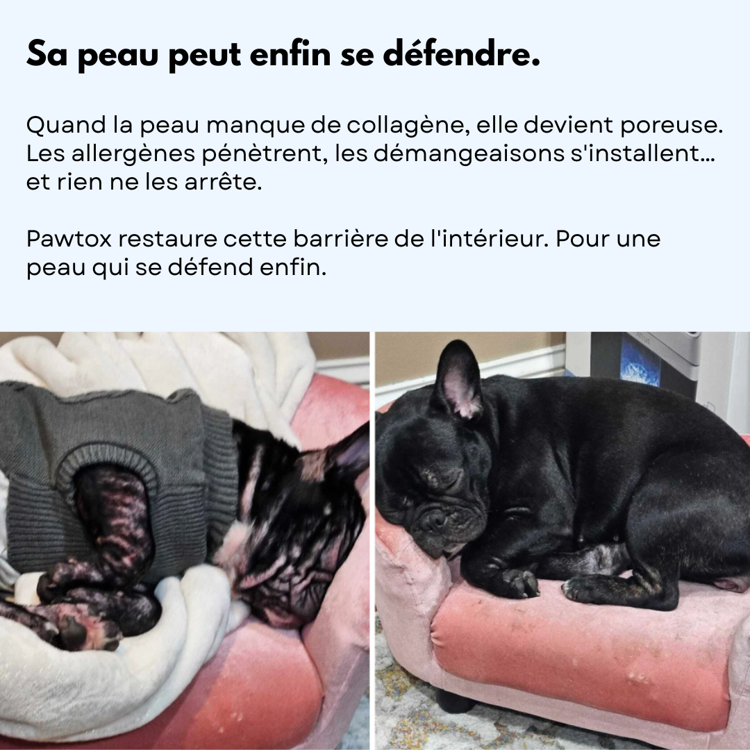 Pawtox Collagen pour Chien