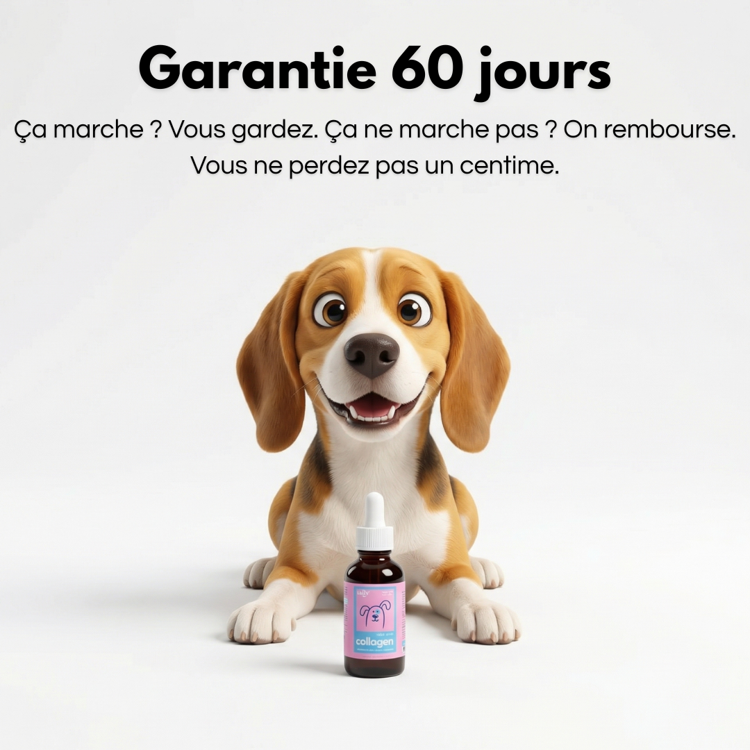 Pawtox Collagen pour Chien