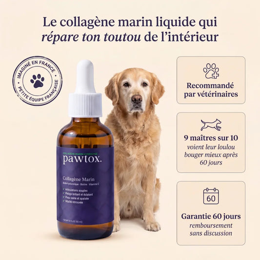 Pawtox — Collagène Marin pour Chien