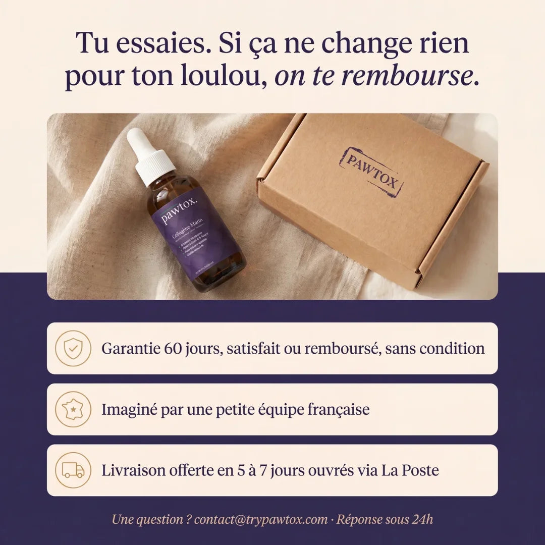 Pawtox — Collagène Marin pour Chien