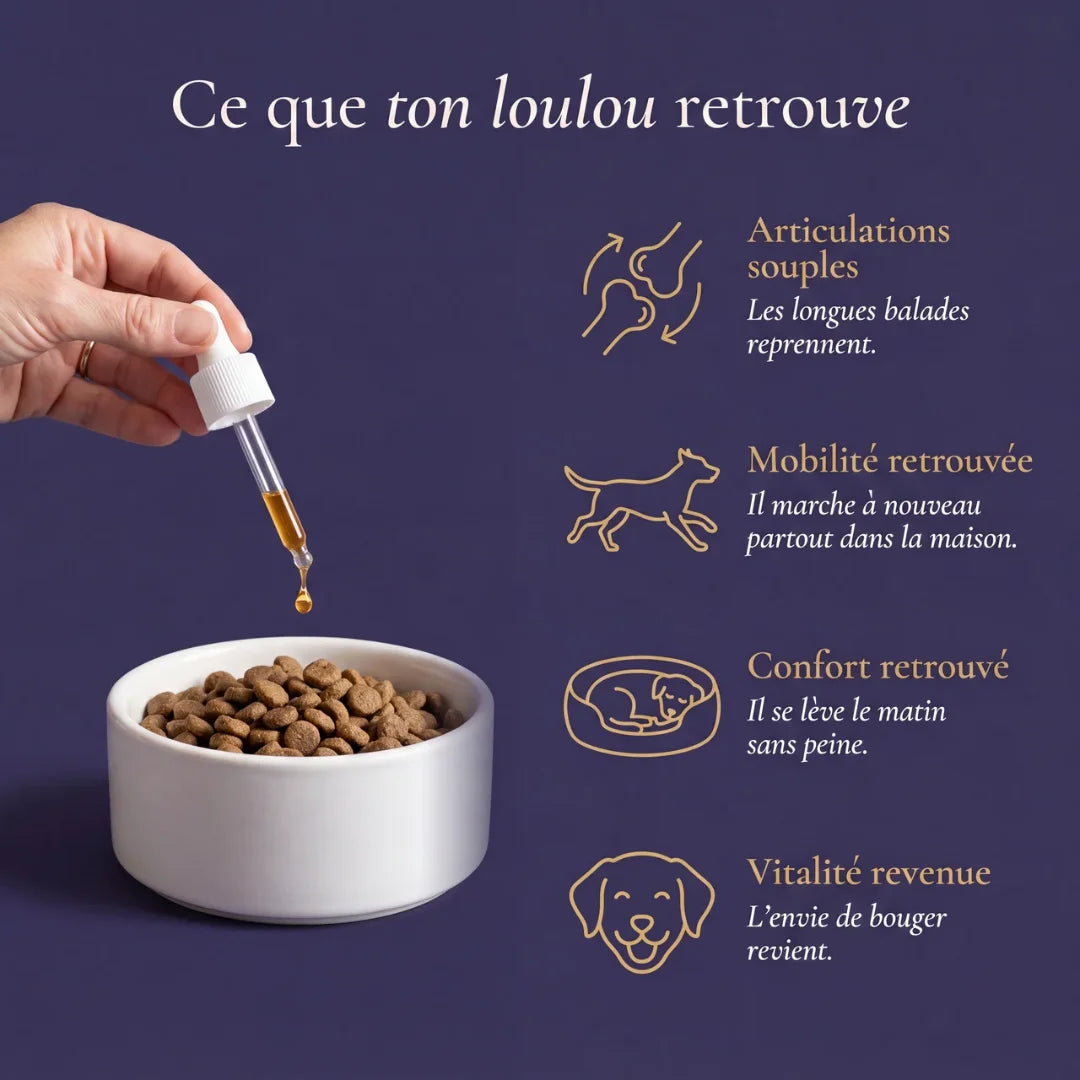 Pawtox — Collagène Marin pour Chien