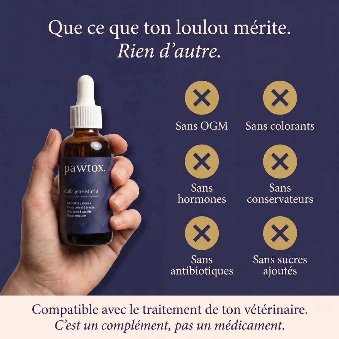 Pawtox — Collagène Marin pour Chien