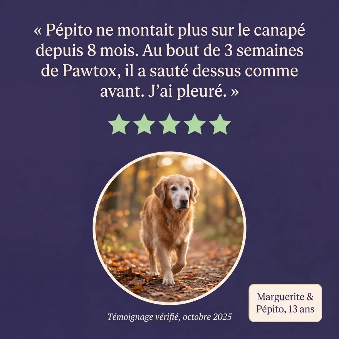 Pawtox — Collagène Marin pour Chien