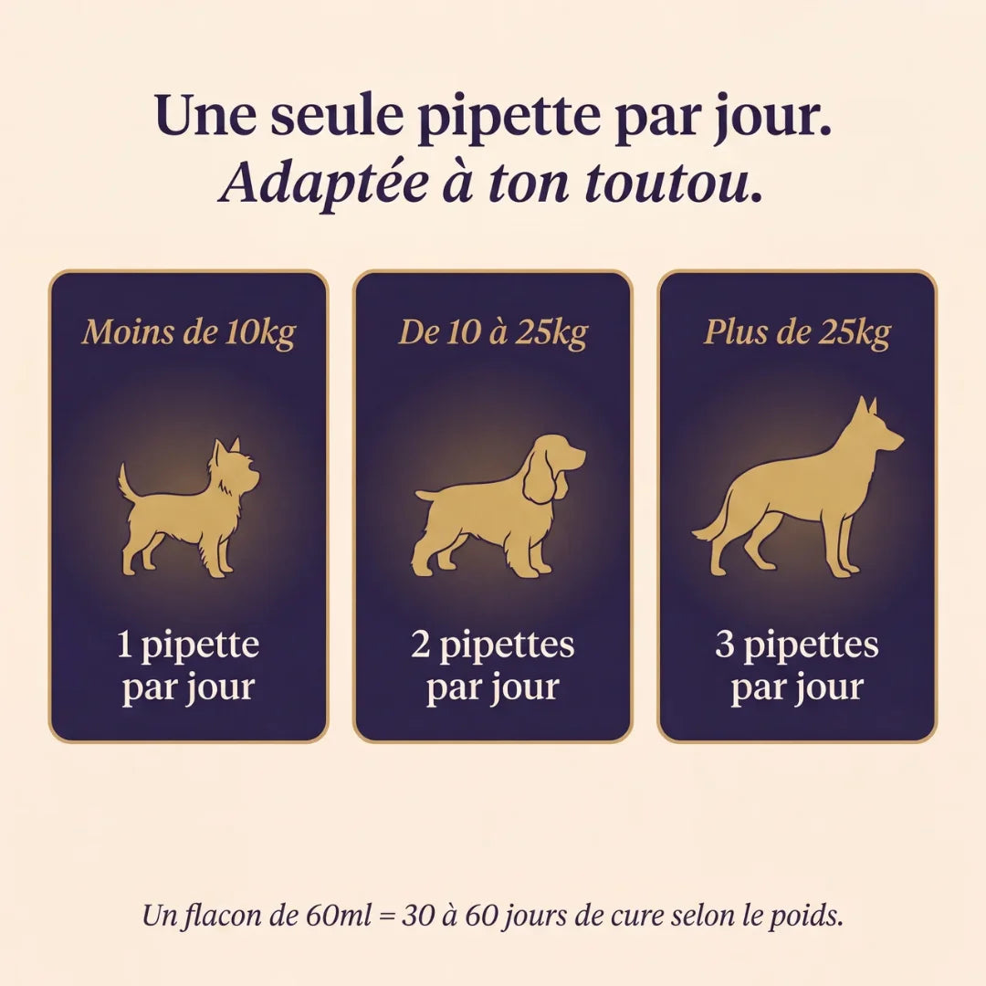 Pawtox — Collagène Marin pour Chien