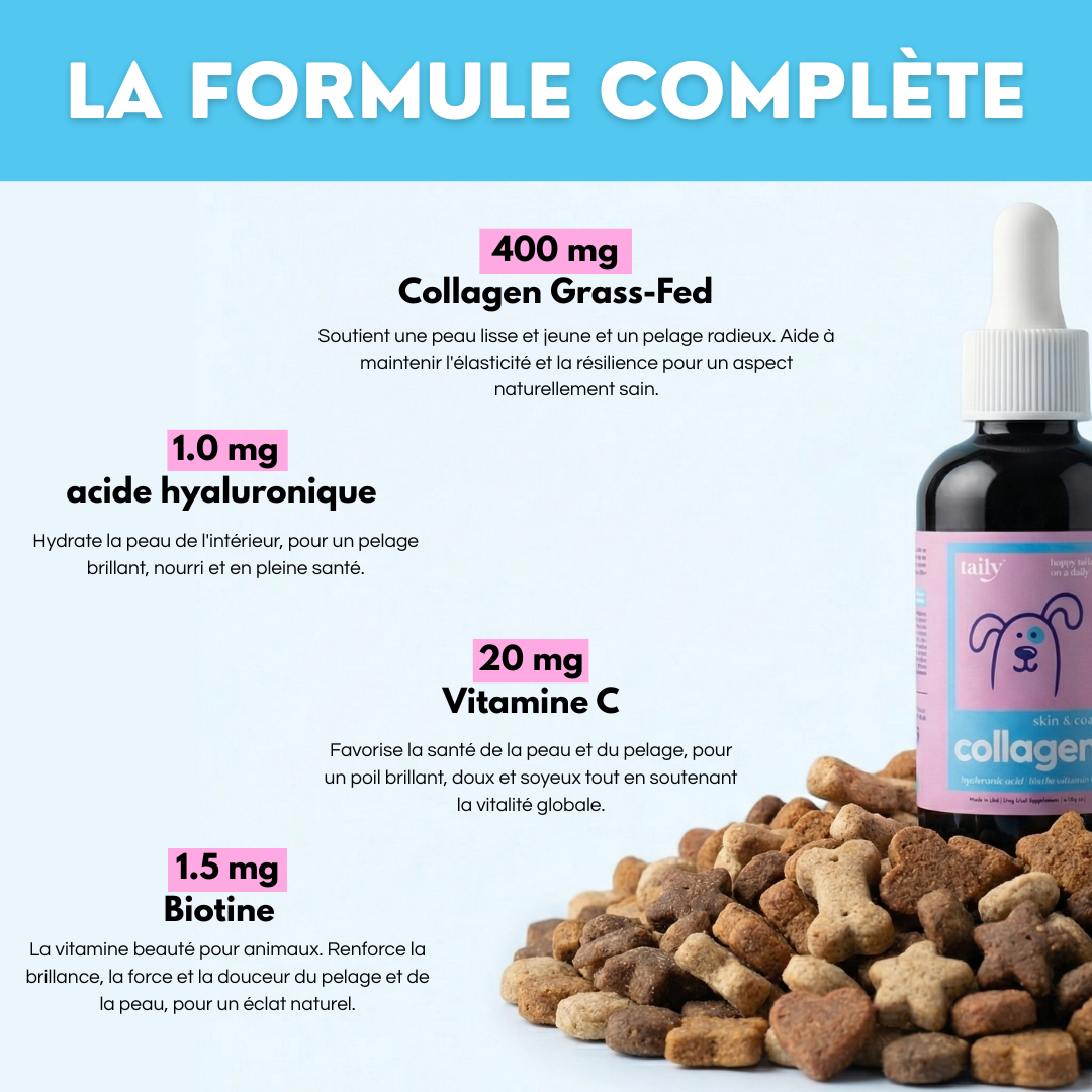 Pawtox Collagen pour Chien