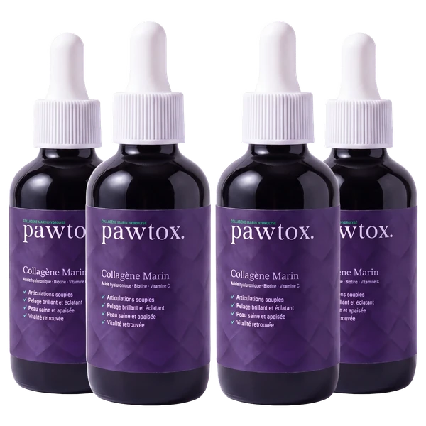 Pawtox Collagène Marin, 4 flacons