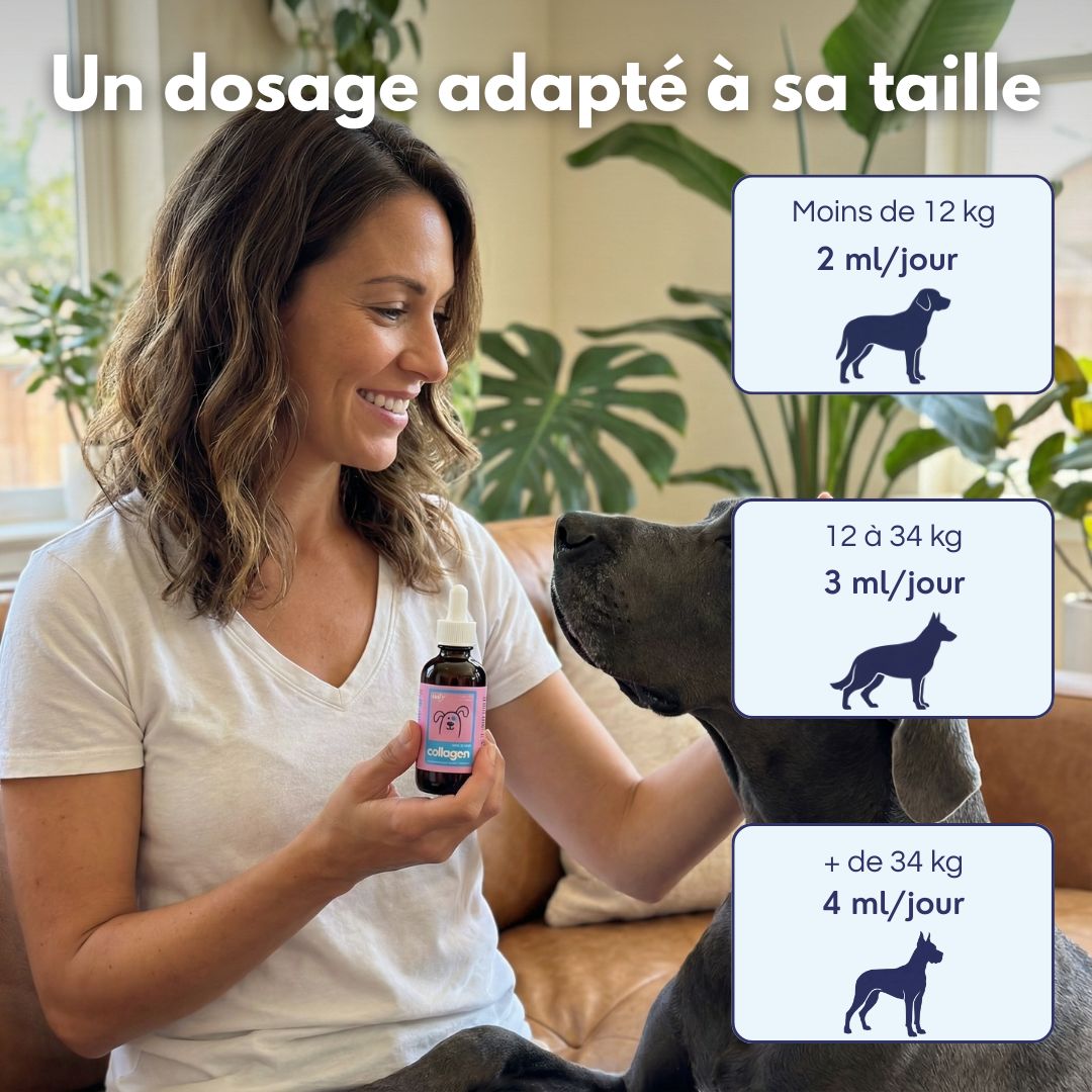 Pawtox Collagen pour Chien
