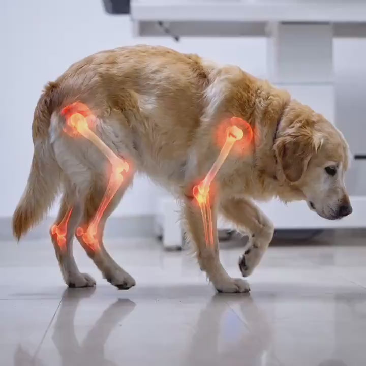 Vidéo