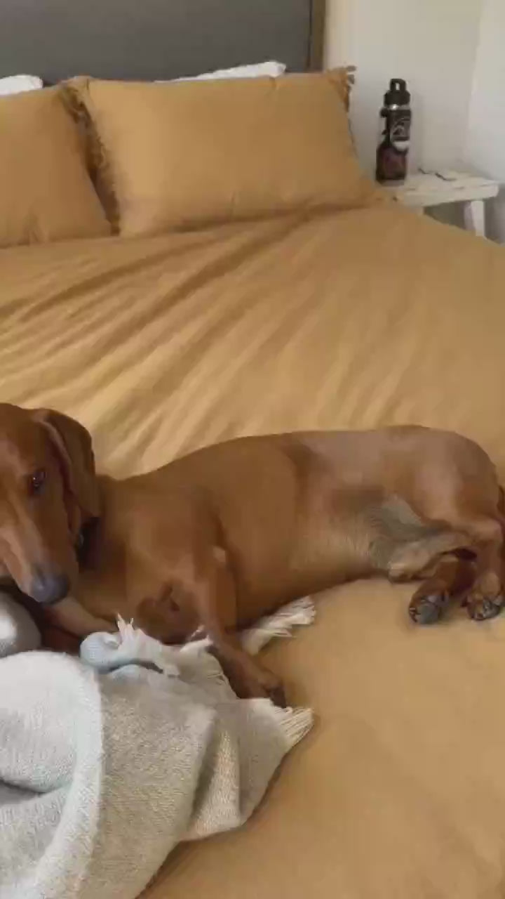 Vidéo